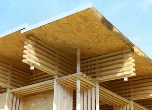 建筑師朱競翔挑戰不可能 3天造好幼兒園