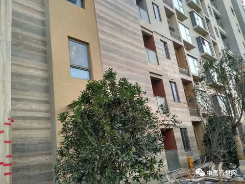 意大利洞石 2019現代時尚建筑設計的熱門材料